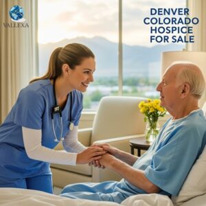 Nurse providing compassionate care to elderly patient in Denver, Colorado hospice setting with Rocky Mountains in the background.