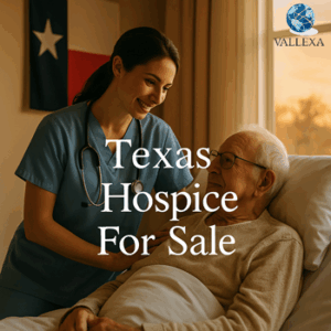 Hospice nurse assisting elderly patient in warm Texas healthcare setting
