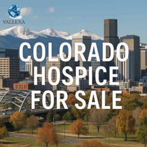Nurse caring for elderly patient with Denver skyline and mountains in the background – Colorado hospice for sale